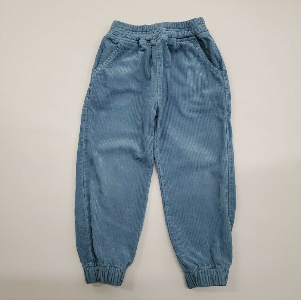 HTF Fin & vince blue corduroy pant 4/5